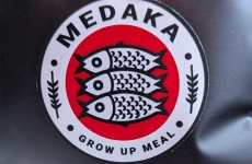 Medaka Food – Grow Up Meal